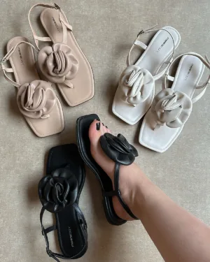 Morena Blanc - Flat Flori