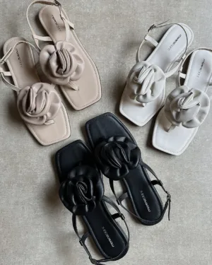 Morena Blanc - Flat Flori